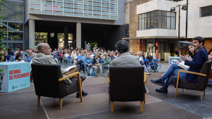 Pot xocar la democràcia amb la Constitució?